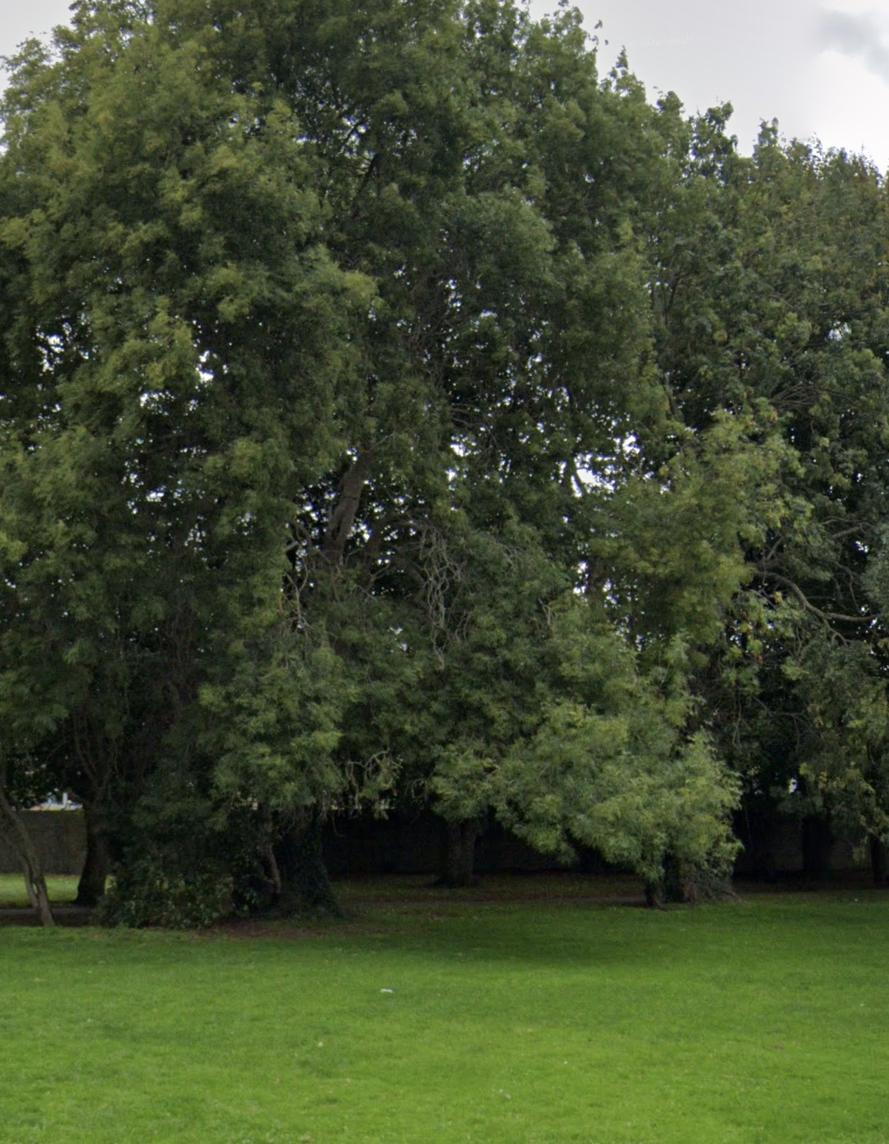 Hazel Avenue
