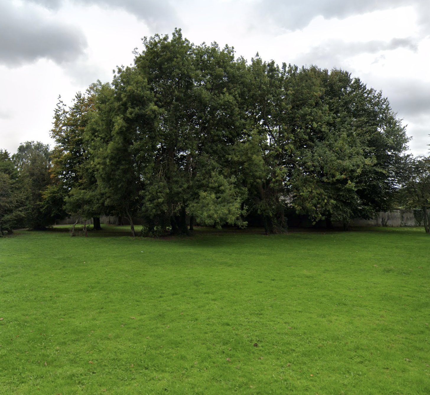 Hazel Avenue